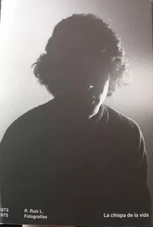 LA CHISPA DE LA VIDA