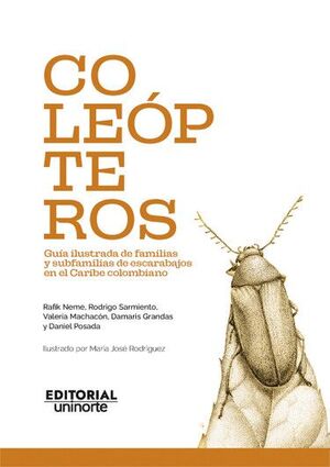 COLEÓPTEROS